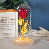 Valentines Day Gift For Girlfriend Eternal Rose LED Light In Glass Cover Decor Gift