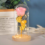 Valentines Day Gift For Girlfriend Eternal Rose LED Light In Glass Cover Decor Gift