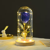 Valentines Day Gift For Girlfriend Eternal Rose LED Light In Glass Cover Decor Gift