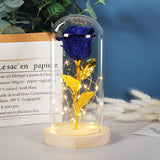 Valentines Day Gift For Girlfriend Eternal Rose LED Light In Glass Cover Decor Gift