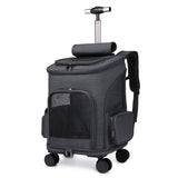 Pet Carrier Folding Backpack and Rolling Bag