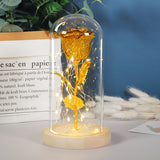 Valentines Day Gift For Girlfriend Eternal Rose LED Light In Glass Cover Decor Gift