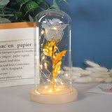 Valentines Day Gift For Girlfriend Eternal Rose LED Light In Glass Cover Decor Gift