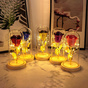 Valentines Day Gift For Girlfriend Eternal Rose LED Light In Glass Cover Decor Gift