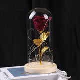 Valentines Day Gift For Girlfriend Eternal Rose LED Light In Glass Cover Decor Gift