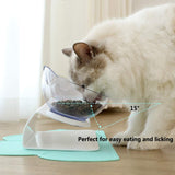 Double Cat Bowl With Raised Stand