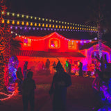Halloween String Lights Jack O' Lanterns 10 feet